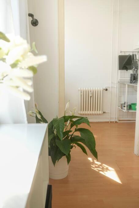 Stadtoase Wohnung Nahe Hauptbahnhof โคเบลนซ์ ภายนอก รูปภาพ